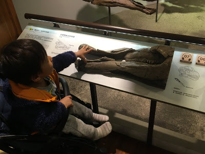 [台北住宿] Backpackers Inn, Taipei 貝殼窩青年旅舍 - 台北｜背包客房親子初體驗（鄰近捷運台大醫院站、捷運台北車站的青年旅舍，交通超方便！推薦舒適便宜的台北親子住宿地點！）