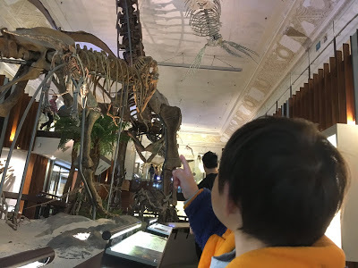 [台北住宿] Backpackers Inn, Taipei 貝殼窩青年旅舍 - 台北｜背包客房親子初體驗（鄰近捷運台大醫院站、捷運台北車站的青年旅舍，交通超方便！推薦舒適便宜的台北親子住宿地點！）