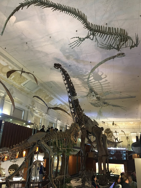 [台北住宿] Backpackers Inn, Taipei 貝殼窩青年旅舍 - 台北｜背包客房親子初體驗（鄰近捷運台大醫院站、捷運台北車站的青年旅舍，交通超方便！推薦舒適便宜的台北親子住宿地點！）