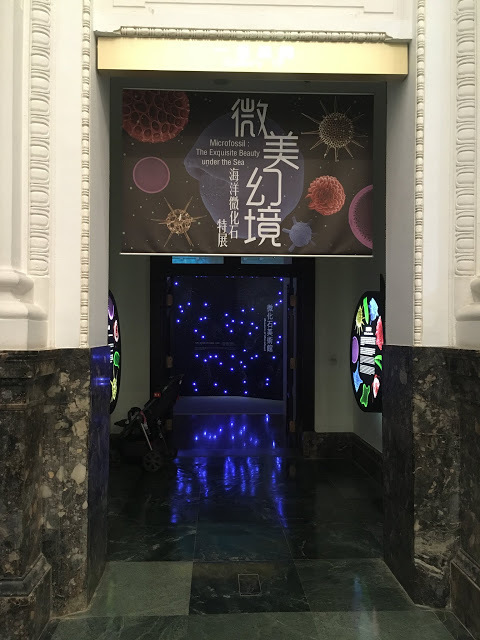 [台北住宿] Backpackers Inn, Taipei 貝殼窩青年旅舍 - 台北｜背包客房親子初體驗（鄰近捷運台大醫院站、捷運台北車站的青年旅舍，交通超方便！推薦舒適便宜的台北親子住宿地點！）