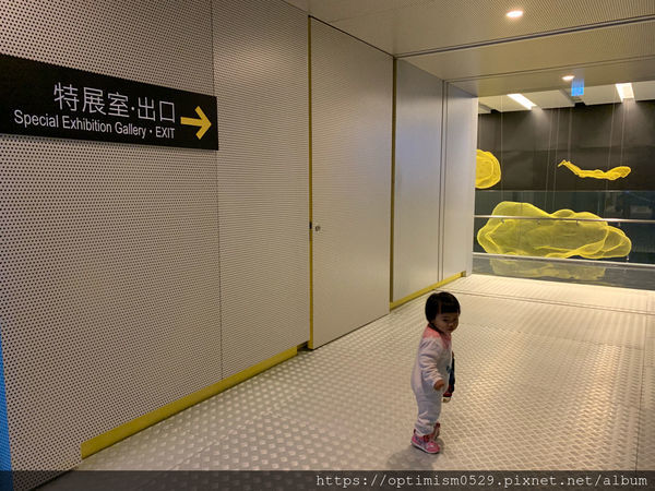 《台南-新市》兒童館親子玩樂之餘,一同進入國立臺灣史前博物館,探索歷史,發現蹤跡-南科考古館