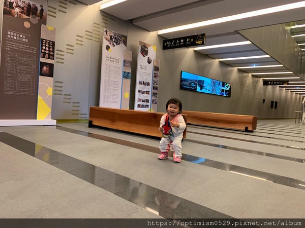 《台南-新市》兒童館親子玩樂之餘,一同進入國立臺灣史前博物館,探索歷史,發現蹤跡-南科考古館