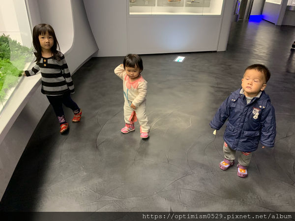 《台南-新市》兒童館親子玩樂之餘,一同進入國立臺灣史前博物館,探索歷史,發現蹤跡-南科考古館