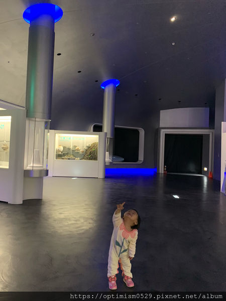 《台南-新市》兒童館親子玩樂之餘,一同進入國立臺灣史前博物館,探索歷史,發現蹤跡-南科考古館