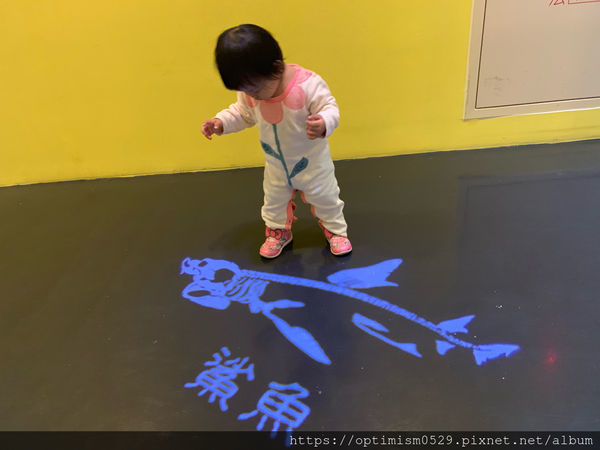 《台南-新市》兒童館親子玩樂之餘,一同進入國立臺灣史前博物館,探索歷史,發現蹤跡-南科考古館