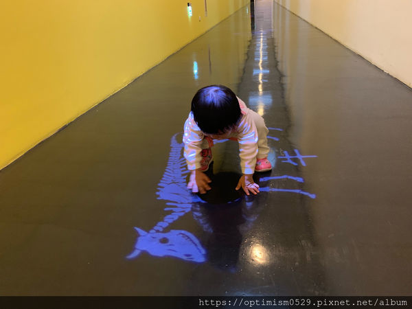 《台南-新市》兒童館親子玩樂之餘,一同進入國立臺灣史前博物館,探索歷史,發現蹤跡-南科考古館