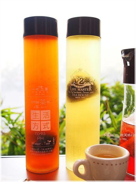 台南成大平價美食_一心二葉[育樂店]-生活喫茶家