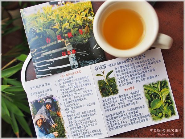 台南成大平價美食_一心二葉[育樂店]-生活喫茶家