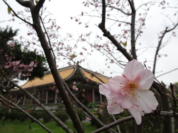 -米塔石頭火鍋市府店 (19).JPG