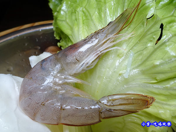菜盤有1隻蝦-米塔石頭火鍋市府店.jpg