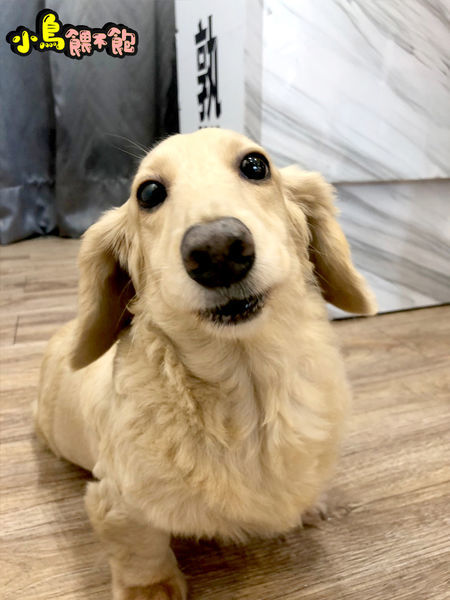 新崛江隱藏美食!《勘熟所 A Little Medium》平價舒肥料理,震撼的味覺、視覺,雙覺享受