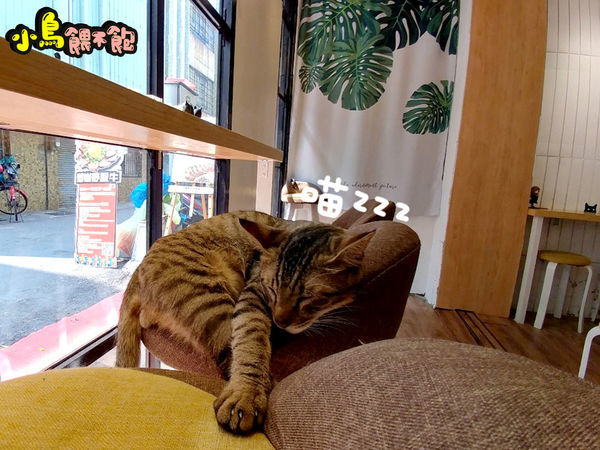 新崛江隱藏美食!《勘熟所 A Little Medium》平價舒肥料理,震撼的味覺、視覺,雙覺享受