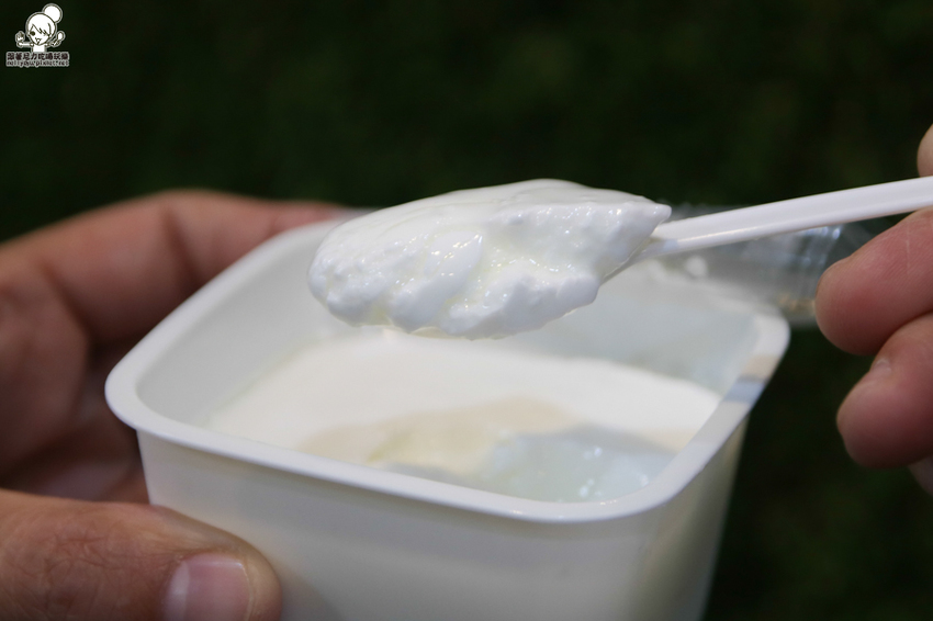 哞～最單純健康滋味的丹醇研選，專業科技養牛、牧場直送鮮乳 X 夏日冰沙系列暢銷必點 - 跟著尼力吃喝玩樂＆親子生活