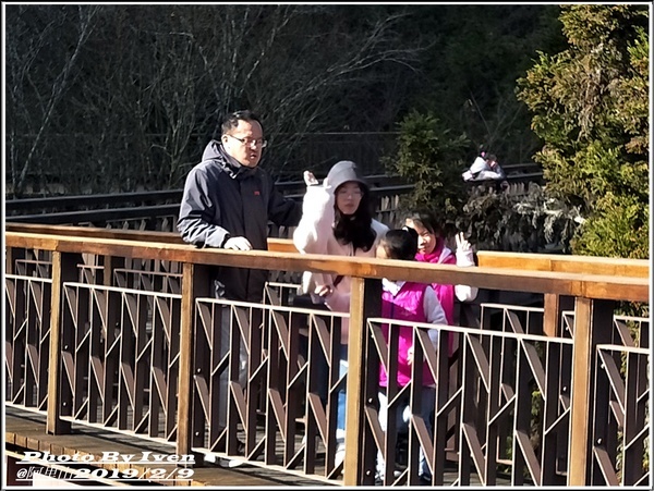 阿里山森林遊樂區：《嘉義阿里山景點》阿里山森林小火車/沼平站走森林步道賞景/充滿芬多精的森林/2019.02.09春節大年初五南遊『阿里山國家森林遊樂區』