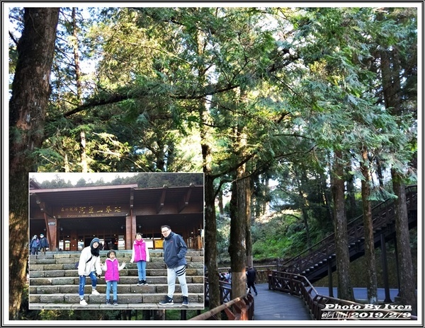 阿里山森林遊樂區：《嘉義阿里山景點》阿里山森林小火車/沼平站走森林步道賞景/充滿芬多精的森林/2019.02.09春節大年初五南遊『阿里山國家森林遊樂區』