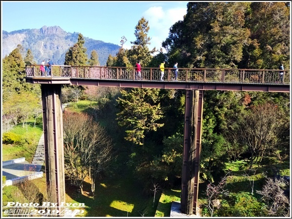 阿里山森林遊樂區：《嘉義阿里山景點》阿里山森林小火車/沼平站走森林步道賞景/充滿芬多精的森林/2019.02.09春節大年初五南遊『阿里山國家森林遊樂區』