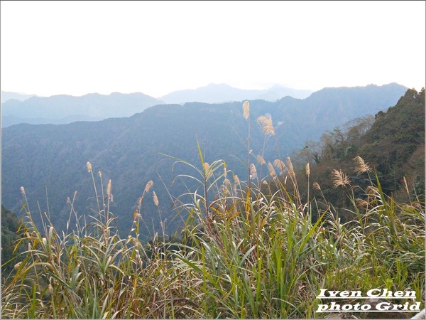 阿里山森林遊樂區:《嘉義阿里山景點》阿里山追逐日出記/2019.02.09春節大年初五南遊『阿里山國家森林遊樂區』