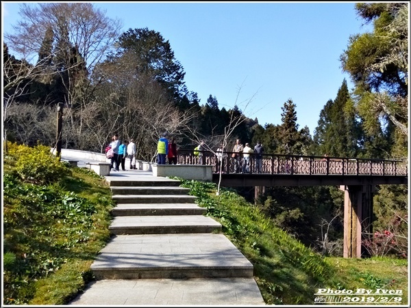 阿里山森林遊樂區：《嘉義阿里山景點》阿里山森林小火車/沼平站走森林步道賞景/充滿芬多精的森林/2019.02.09春節大年初五南遊『阿里山國家森林遊樂區』