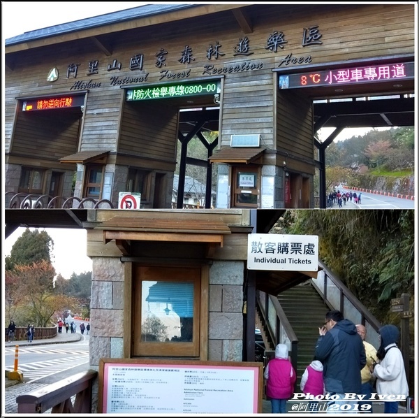 阿里山森林遊樂區：《嘉義阿里山景點》阿里山森林小火車/沼平站走森林步道賞景/充滿芬多精的森林/2019.02.09春節大年初五南遊『阿里山國家森林遊樂區』