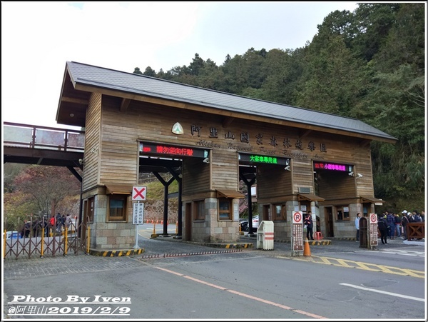 阿里山森林遊樂區：《嘉義阿里山景點》阿里山森林小火車/沼平站走森林步道賞景/充滿芬多精的森林/2019.02.09春節大年初五南遊『阿里山國家森林遊樂區』