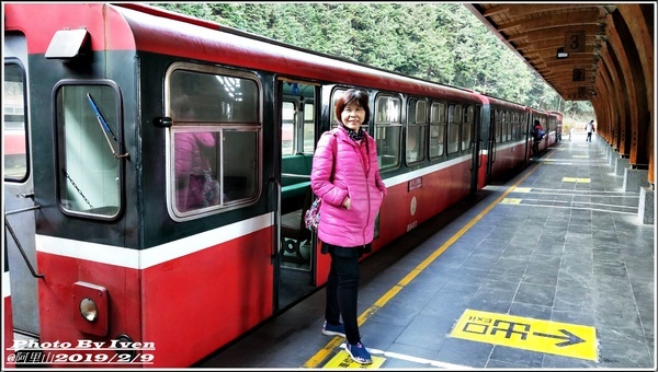 阿里山森林遊樂區：《嘉義阿里山景點》阿里山森林小火車/沼平站走森林步道賞景/充滿芬多精的森林/2019.02.09春節大年初五南遊『阿里山國家森林遊樂區』