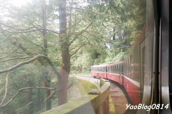 阿里山_025.jpg