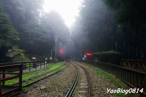 阿里山_023.jpg
