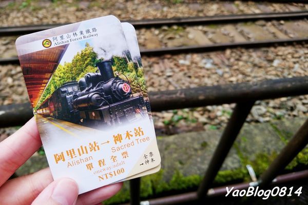 阿里山_022.jpg