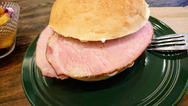 53255368_2301959229835753_3305147896013258752_n