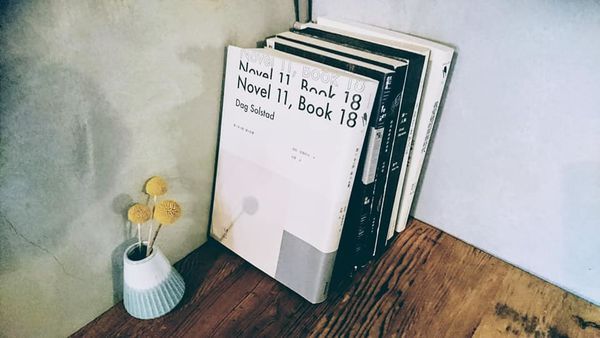 52801004_2295992833765726_7728037210921893888_n