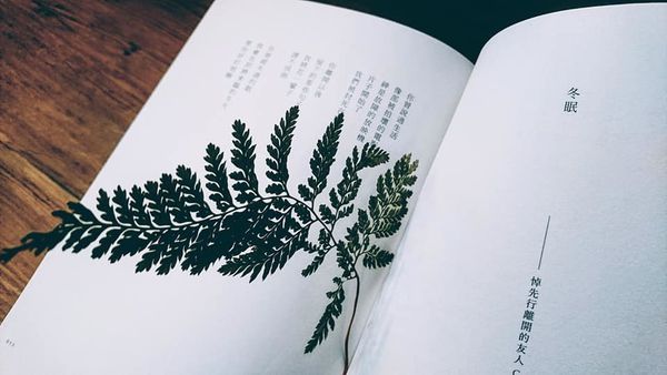 52717551_2295992877099055_580523224429756416_n