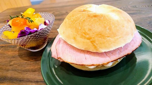 53502735_2302423576455985_8038997524666646528_n