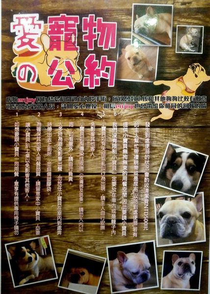 寵物公約.jpg