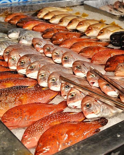 進吉泰國蝦海鮮碳烤吃到飽∥左營區美食∥海鮮控的天堂∥超狂泰國蝦海鮮吃到飽