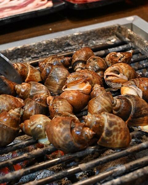 進吉泰國蝦海鮮碳烤吃到飽∥左營區美食∥海鮮控的天堂∥超狂泰國蝦海鮮吃到飽