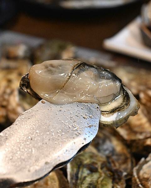 進吉泰國蝦海鮮碳烤吃到飽∥左營區美食∥海鮮控的天堂∥超狂泰國蝦海鮮吃到飽
