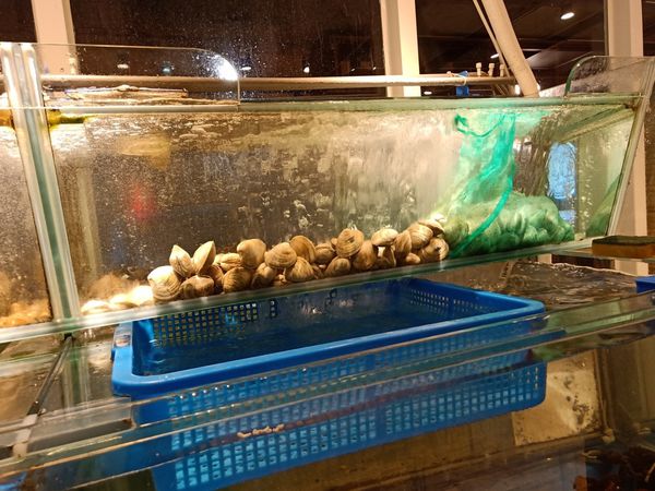 20191202_191202_0039