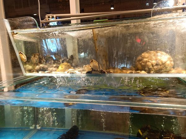 20191202_191202_0040