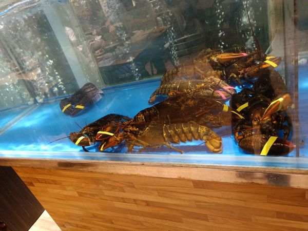 20191202_191202_0045