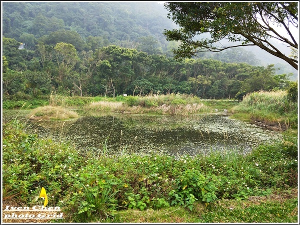 大漢溪山豬湖生態親水園區:《桃園大溪景點》2019.03.02假日與好友們趴趴走在桃園大溪水岸最新亮點-『大漢溪山豬湖生態親水園區』