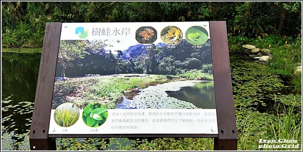 大漢溪山豬湖生態親水園區:《桃園大溪景點》2019.03.02假日與好友們趴趴走在桃園大溪水岸最新亮點-『大漢溪山豬湖生態親水園區』