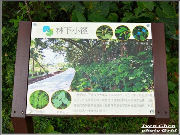 大漢溪山豬湖生態親水園區:《桃園大溪景點》2019.03.02假日與好友們趴趴走在桃園大溪水岸最新亮點-『大漢溪山豬湖生態親水園區』