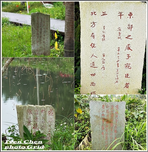 大漢溪山豬湖生態親水園區:《桃園大溪景點》2019.03.02假日與好友們趴趴走在桃園大溪水岸最新亮點-『大漢溪山豬湖生態親水園區』
