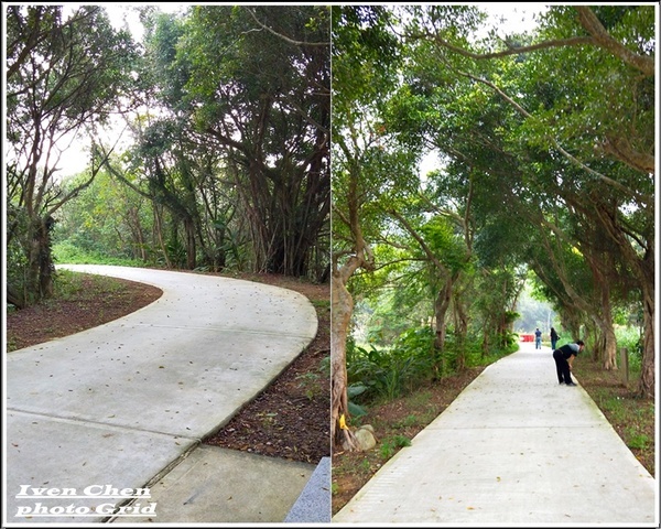 大漢溪山豬湖生態親水園區:《桃園大溪景點》2019.03.02假日與好友們趴趴走在桃園大溪水岸最新亮點-『大漢溪山豬湖生態親水園區』
