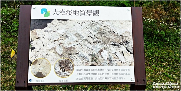大漢溪山豬湖生態親水園區:《桃園大溪景點》2019.03.02假日與好友們趴趴走在桃園大溪水岸最新亮點-『大漢溪山豬湖生態親水園區』