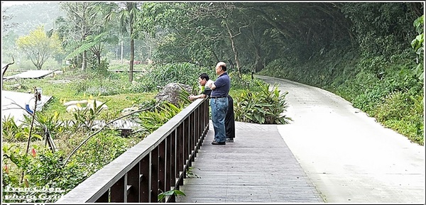 大漢溪山豬湖生態親水園區:《桃園大溪景點》2019.03.02假日與好友們趴趴走在桃園大溪水岸最新亮點-『大漢溪山豬湖生態親水園區』