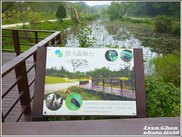 大漢溪山豬湖生態親水園區:《桃園大溪景點》2019.03.02假日與好友們趴趴走在桃園大溪水岸最新亮點-『大漢溪山豬湖生態親水園區』