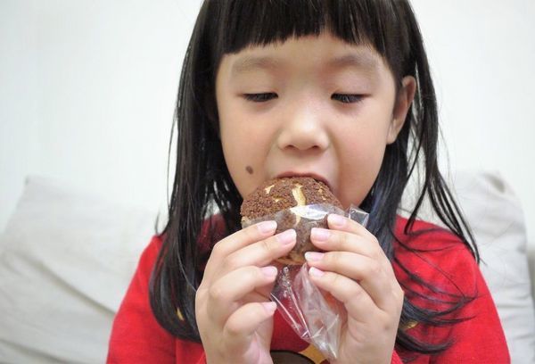 鴻品甜點工作室：| 辦公室團購 | 鴻品甜點工作室 手工乳酪蛋糕 & 泡芙牛奶冰 ~健康幸福的甜點