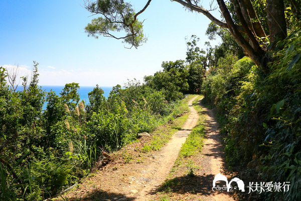 蟾蜍山觀景台:【宜蘭秘境】蟾蜍山觀景台|無敵海景壯觀夜景!用鳥的視角看龜山島與蘭陽平原
