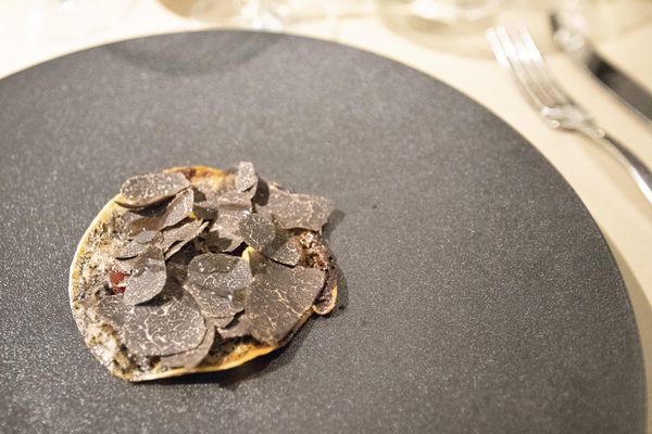 Impromptu by Paul Lee - 20